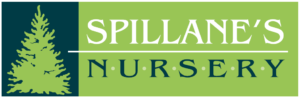 spillanes-nursery