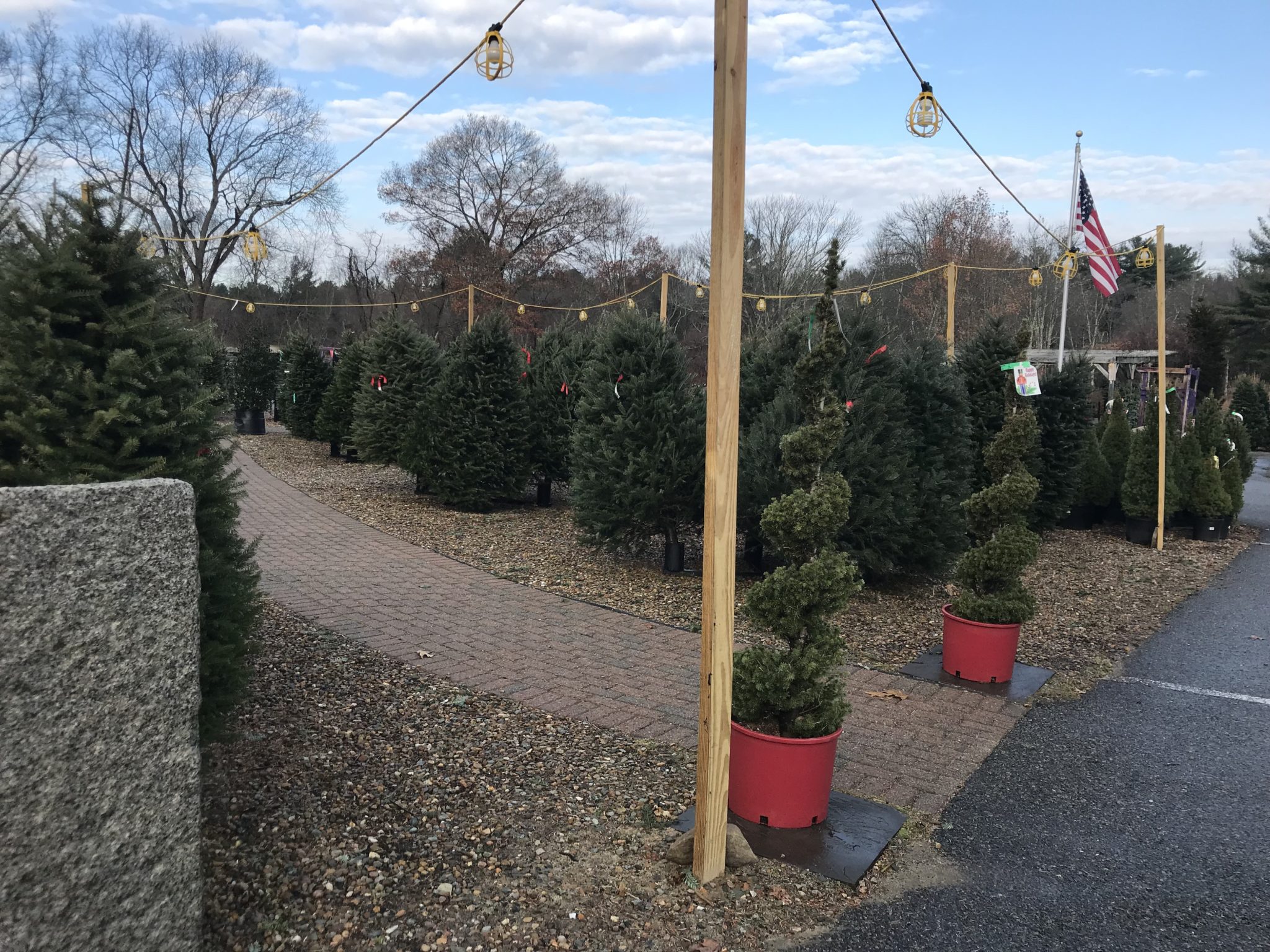 100 christmas tree shop headquarters middleboro ma 100 christmas tree shop headquarters middleboro ma